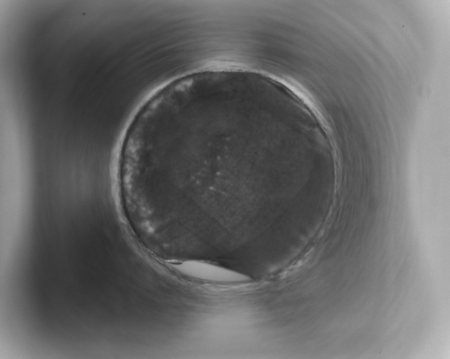 X0000101090864200807241006