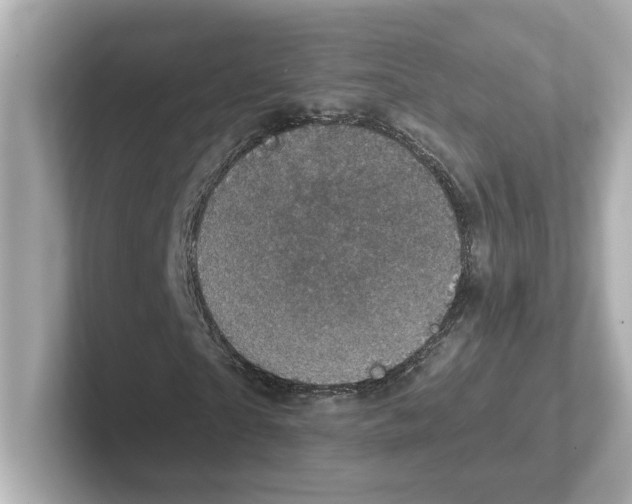 X0000101090865200807241006