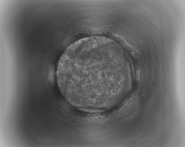 X0000101090866200807241006