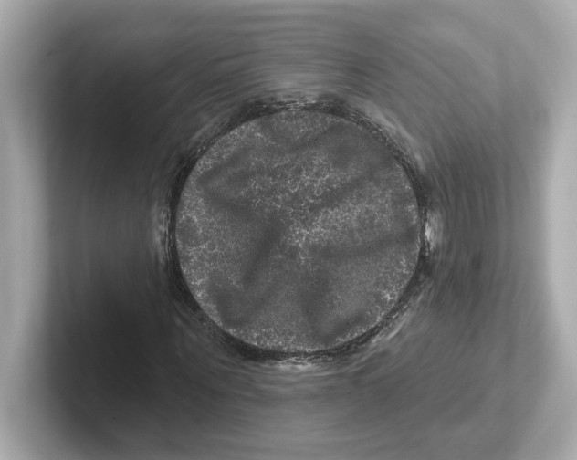 X0000101090867200807241006