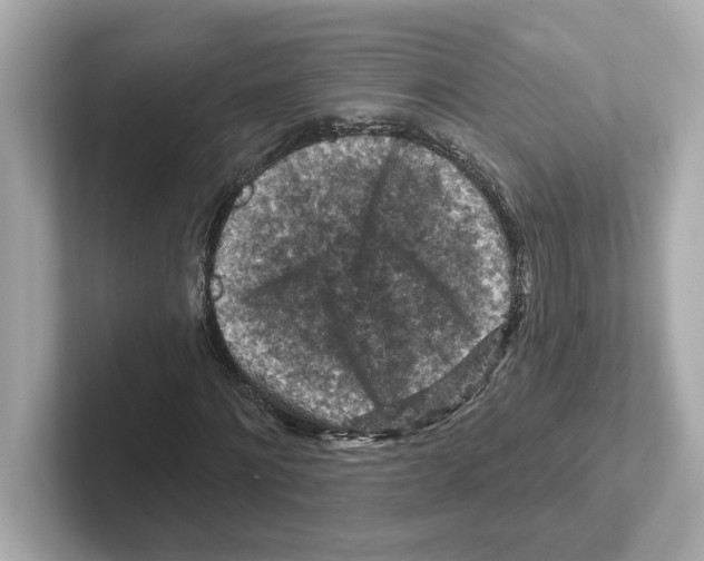 X0000101090868200807241006