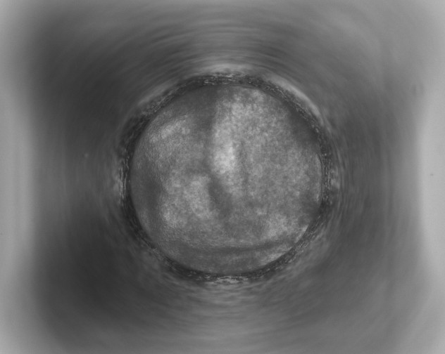 X0000101090869200807241006