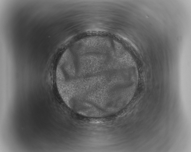 X0000101090870200807241006