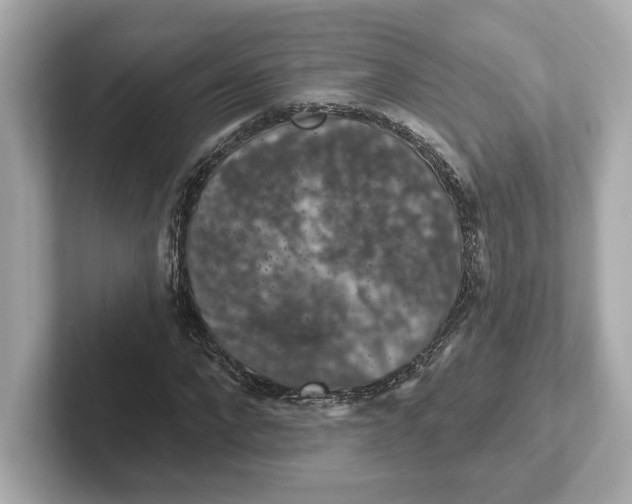 X0000101090872200807241006