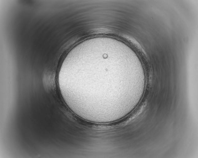 X0000101090873200807241006