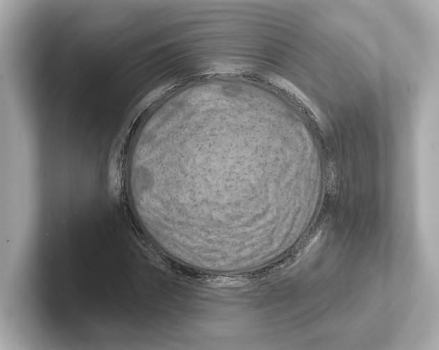 X0000101090874200807241005