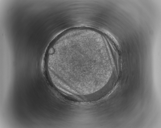 X0000101090876200807241005