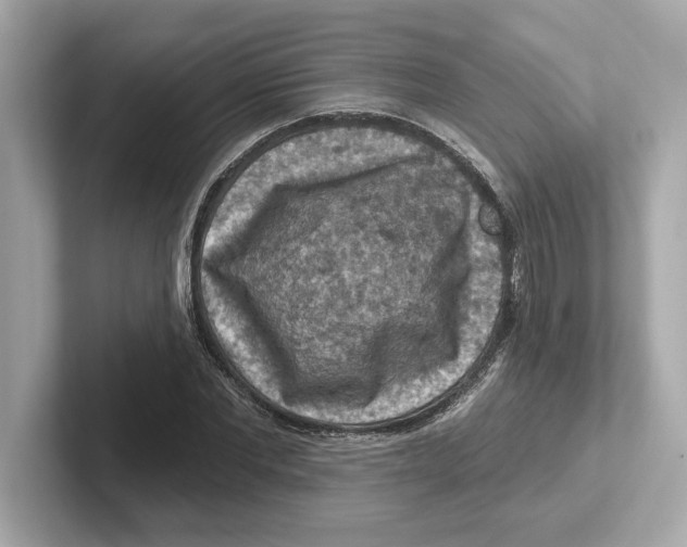 X0000101090877200807241005