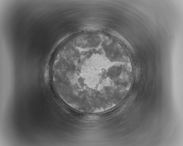 X0000101090878200807241005