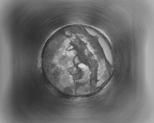 X0000101090879200807241005