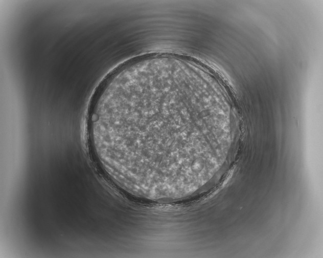 X0000101090880200807241005