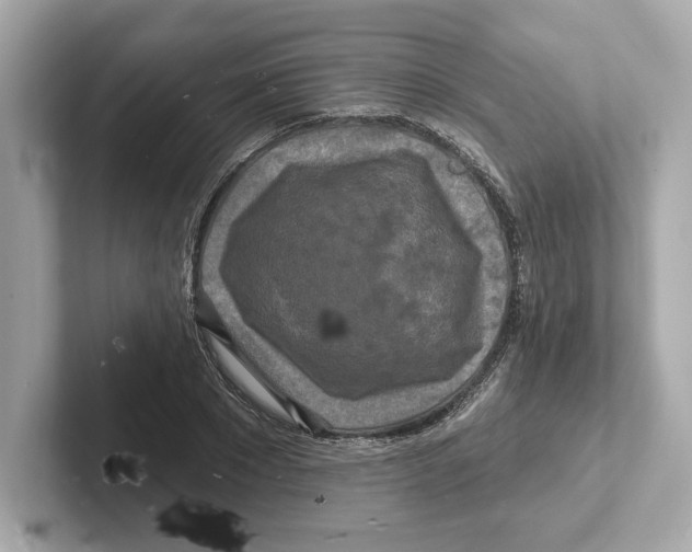 X0000101090881200807241005