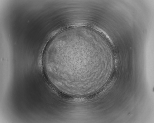 X0000101090882200807241005