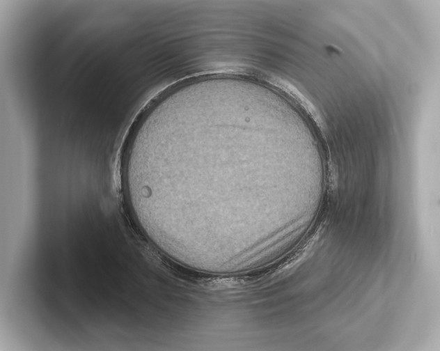 X0000101090883200807241005