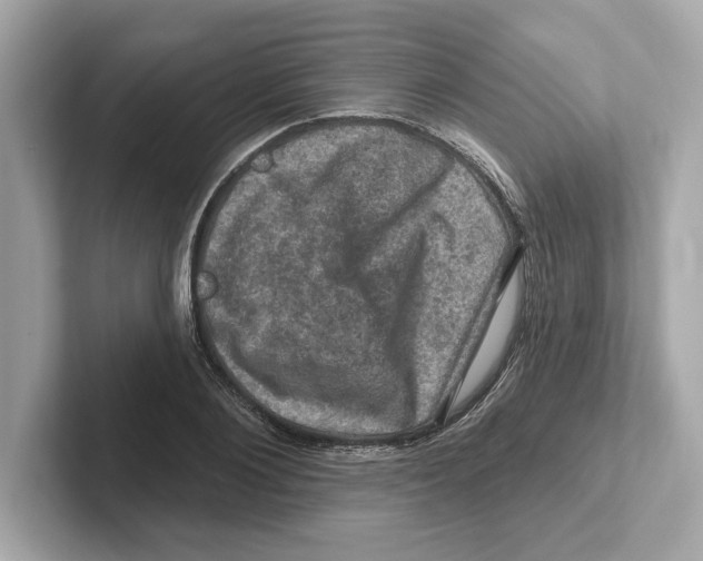 X0000101090884200807241005