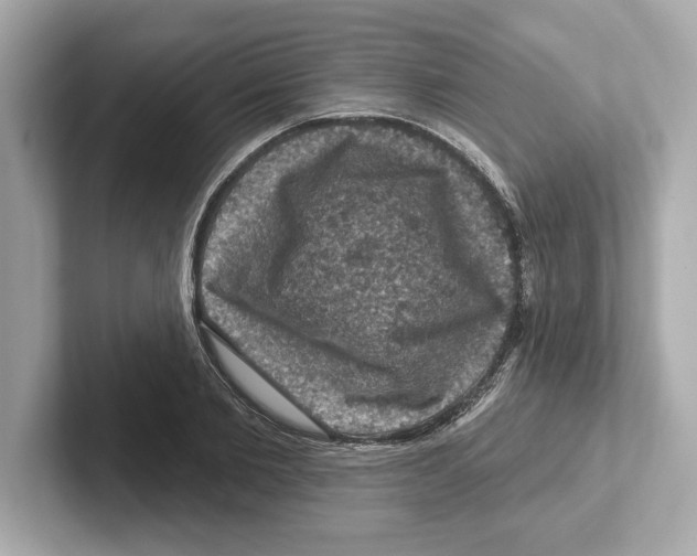 X0000101090885200807241005