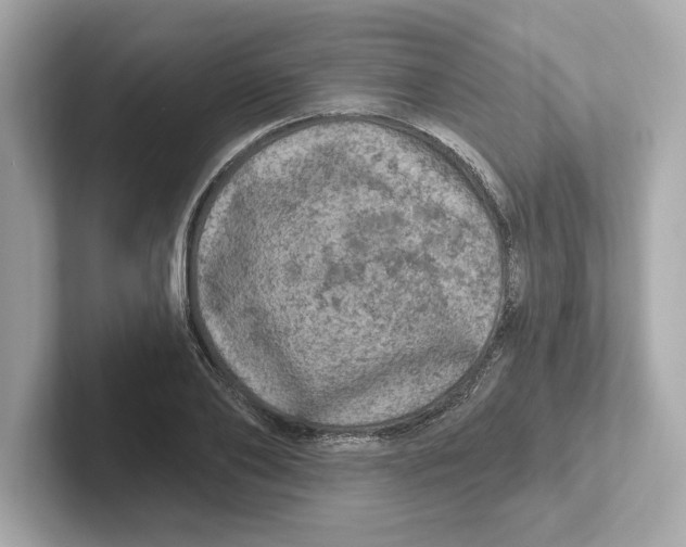 X0000101090886200807241005