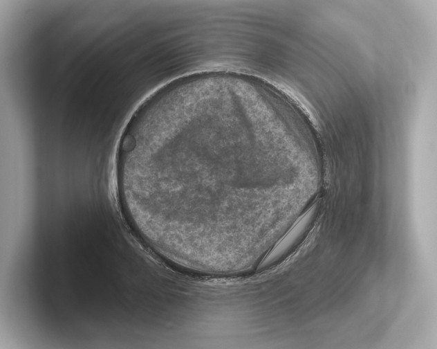 X0000101090888200807241005