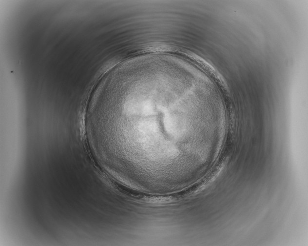 X0000101090889200807241005