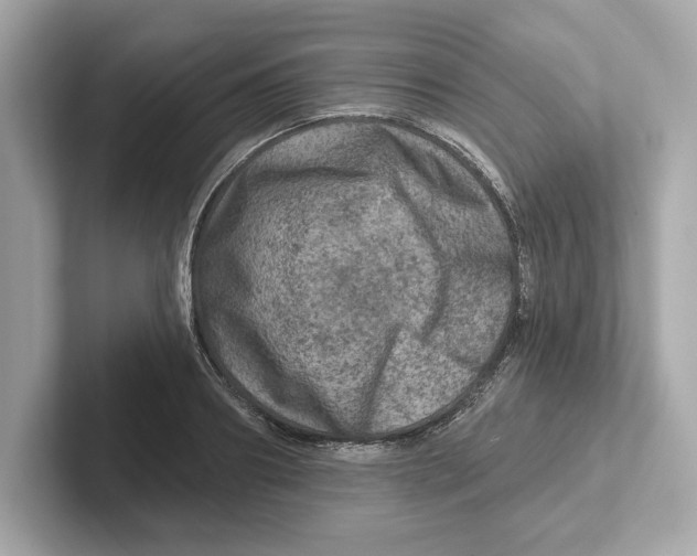 X0000101090890200807241005