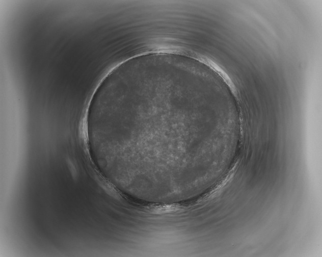 X0000101090891200807241005