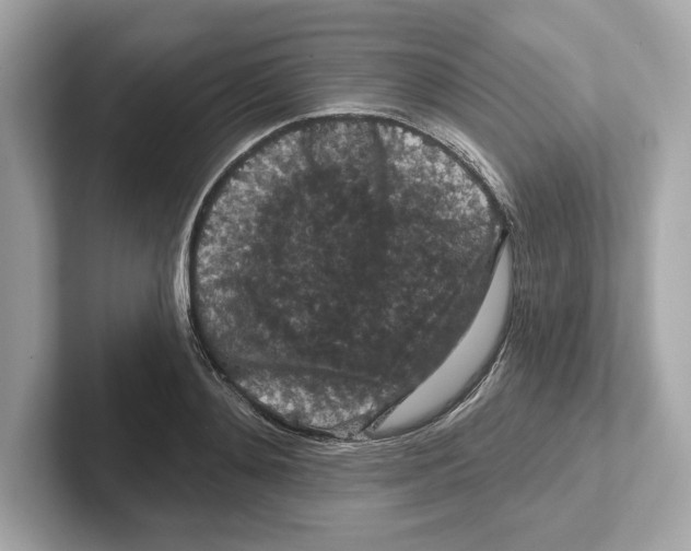 X0000101090892200807241005