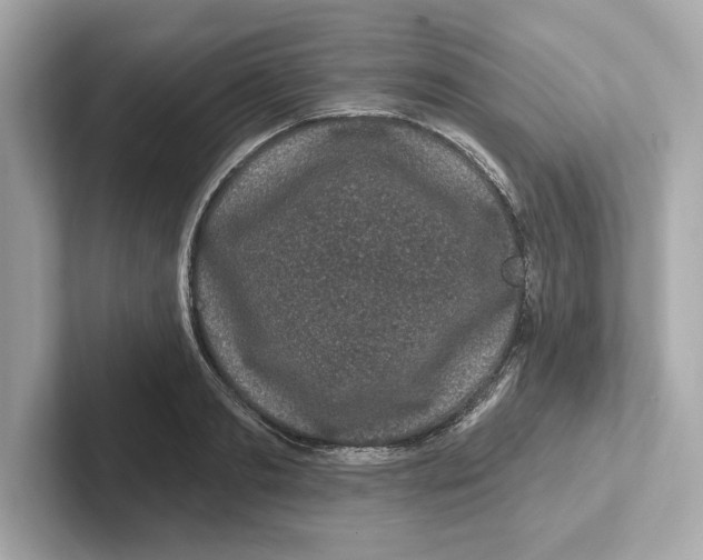 X0000101090893200807241005