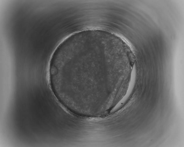 X0000101090894200807241005