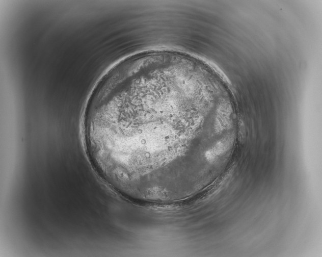 X0000101090895200807241005