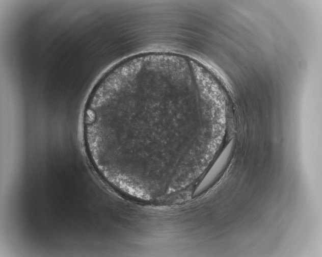 X0000101090896200807241005