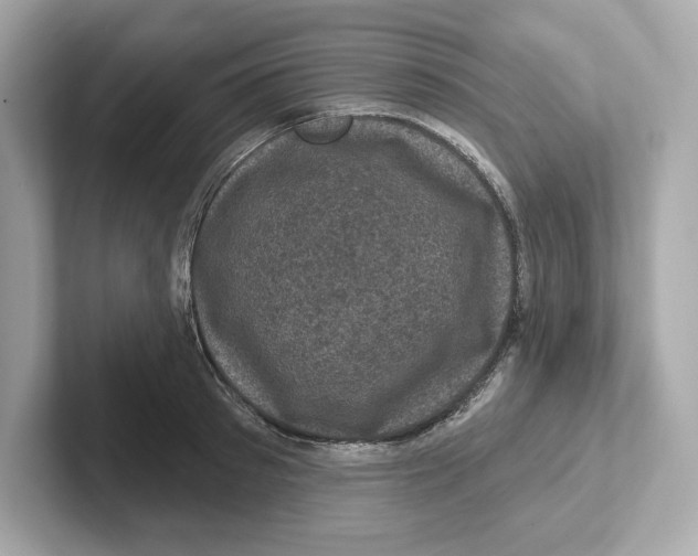 X0000101090897200807241005