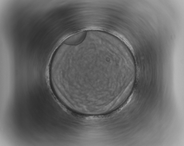 X0000101090898200807241005