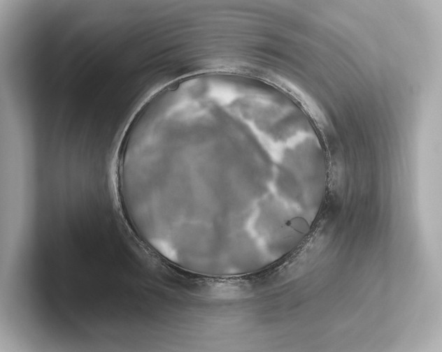 X0000101090899200807241005