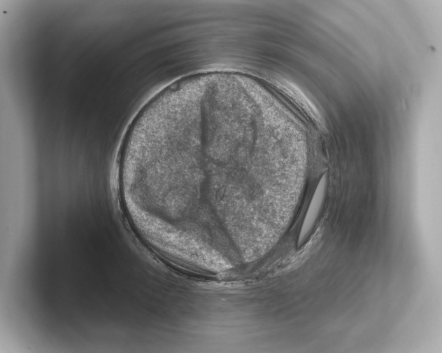 X0000101090900200807241005