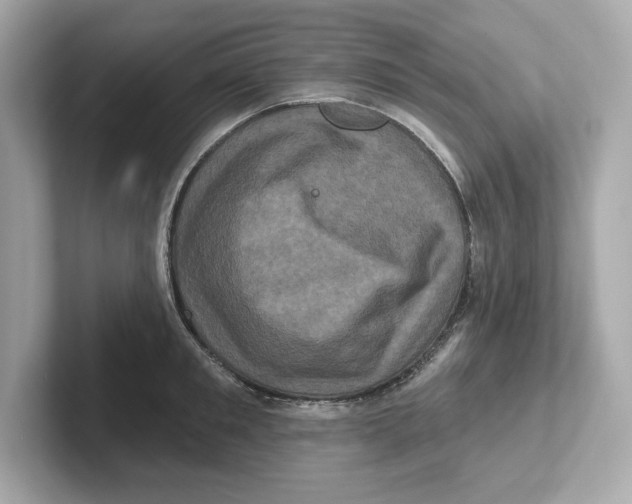 X0000101090901200807241005