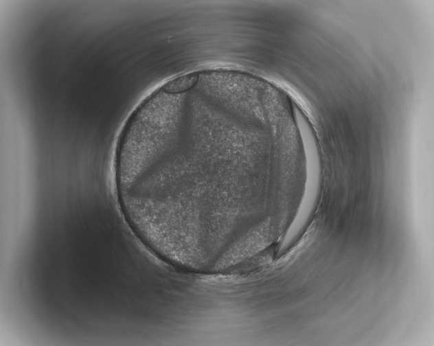 X0000101090902200807241005