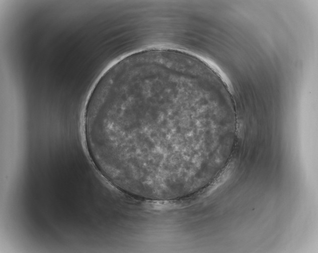 X0000101090903200807241005