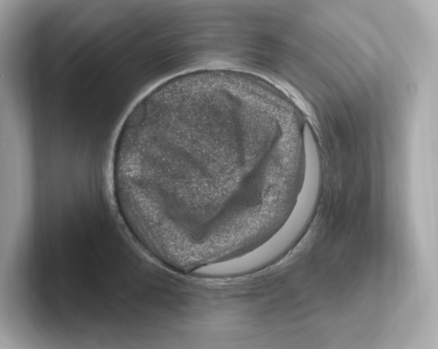 X0000101090904200807241005