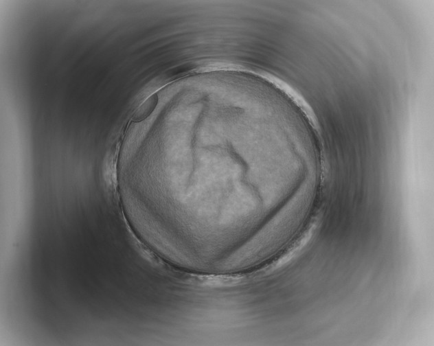 X0000101090905200807241005