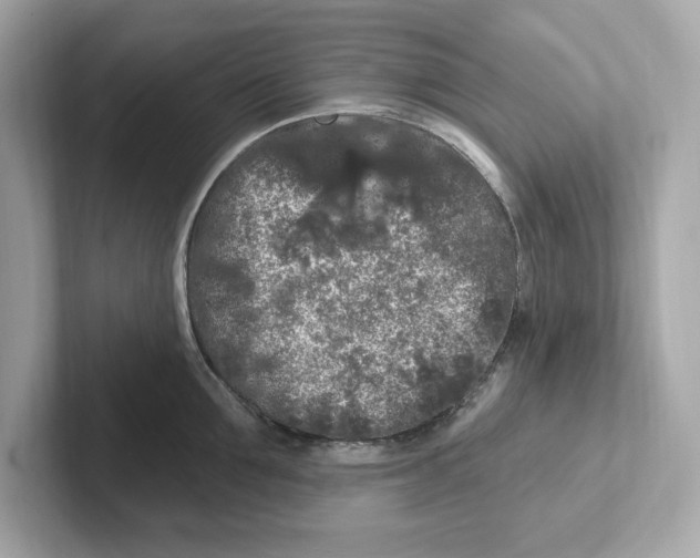 X0000101090907200807241005