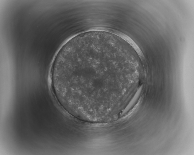 X0000101090908200807241005