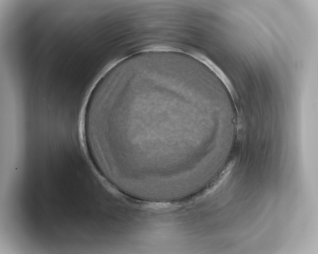 X0000101090909200807241005