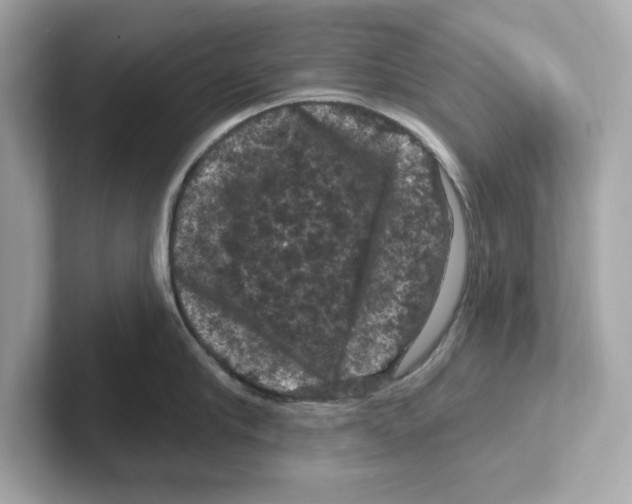 X0000101090910200807241005