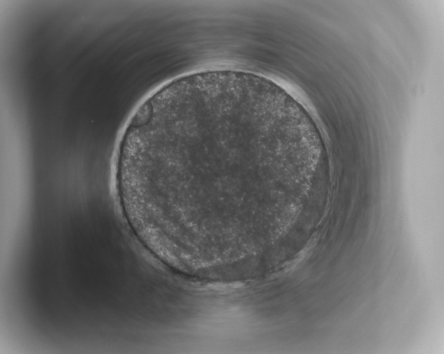 X0000101090912200807241005