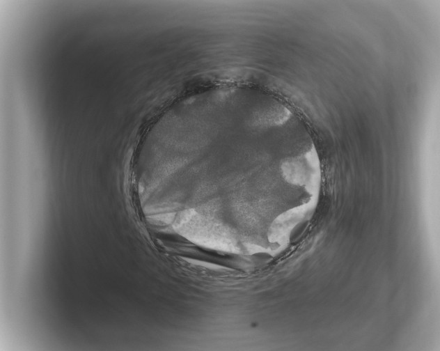 X0000101090913200807241004