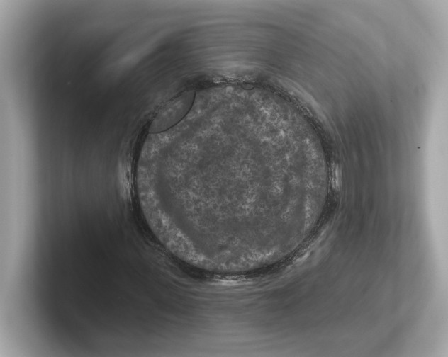 X0000101090915200807241004