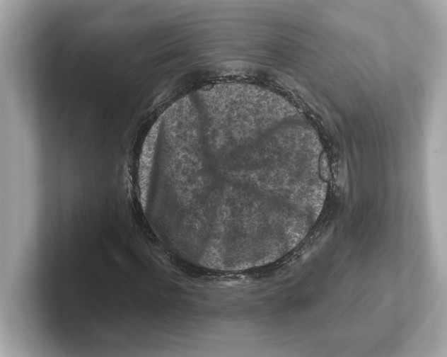 X0000101090916200807241004