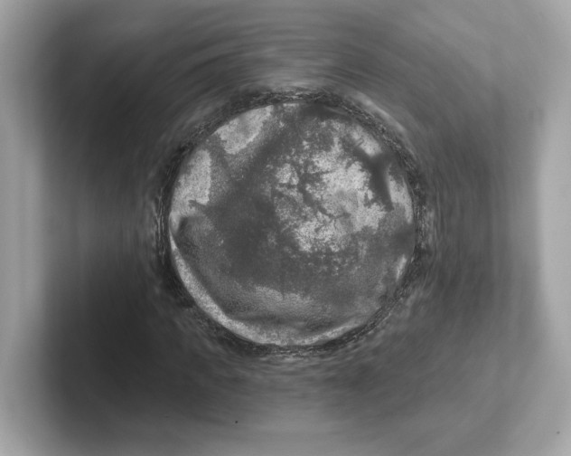 X0000101090917200807241004