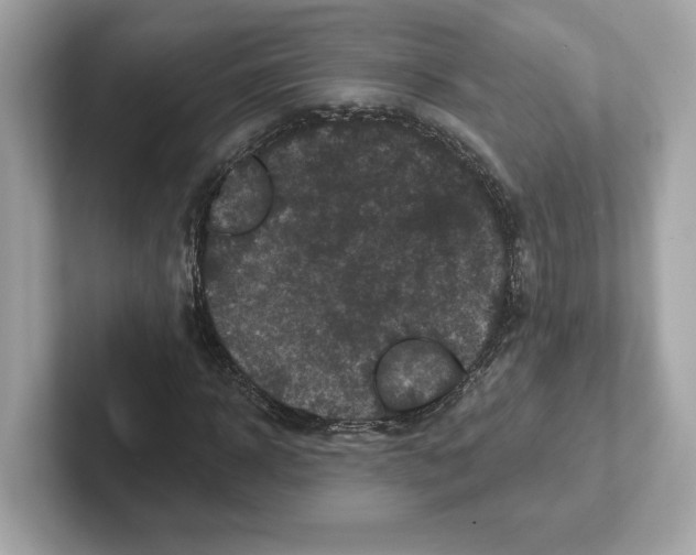 X0000101090918200807241004