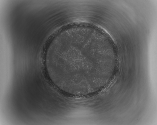 X0000101090919200807241004